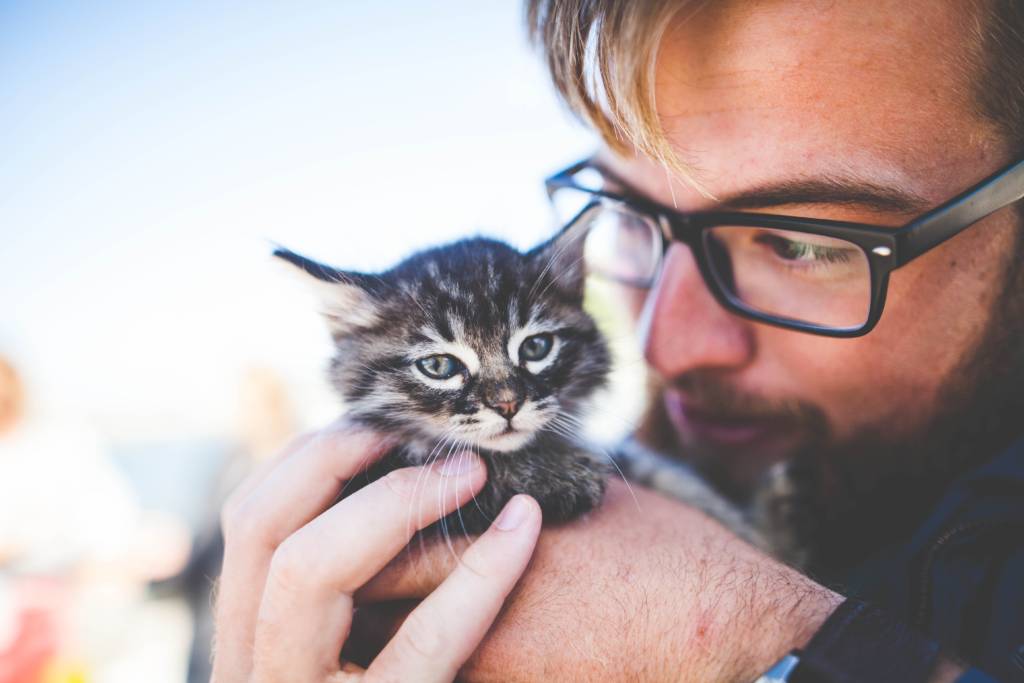 man holding kitten